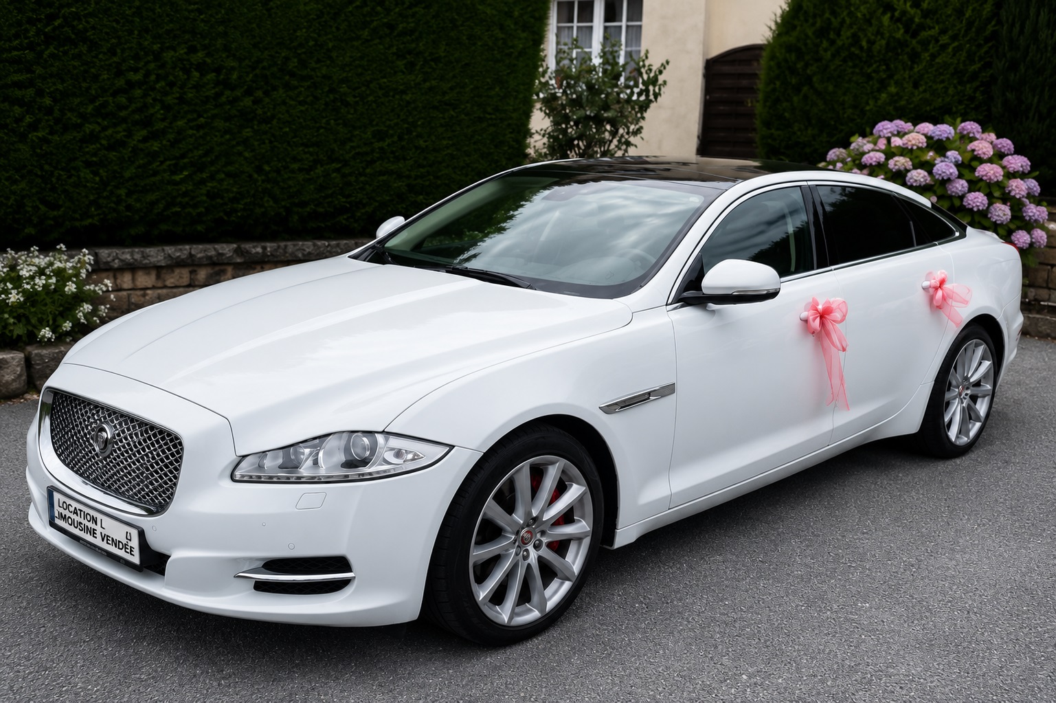 Jaguar Edition VIP